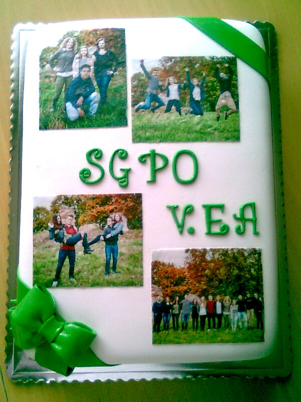 torty 026